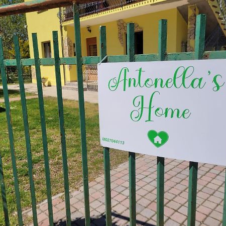 Antonella'S Home Cavallino-Treporti Luaran gambar